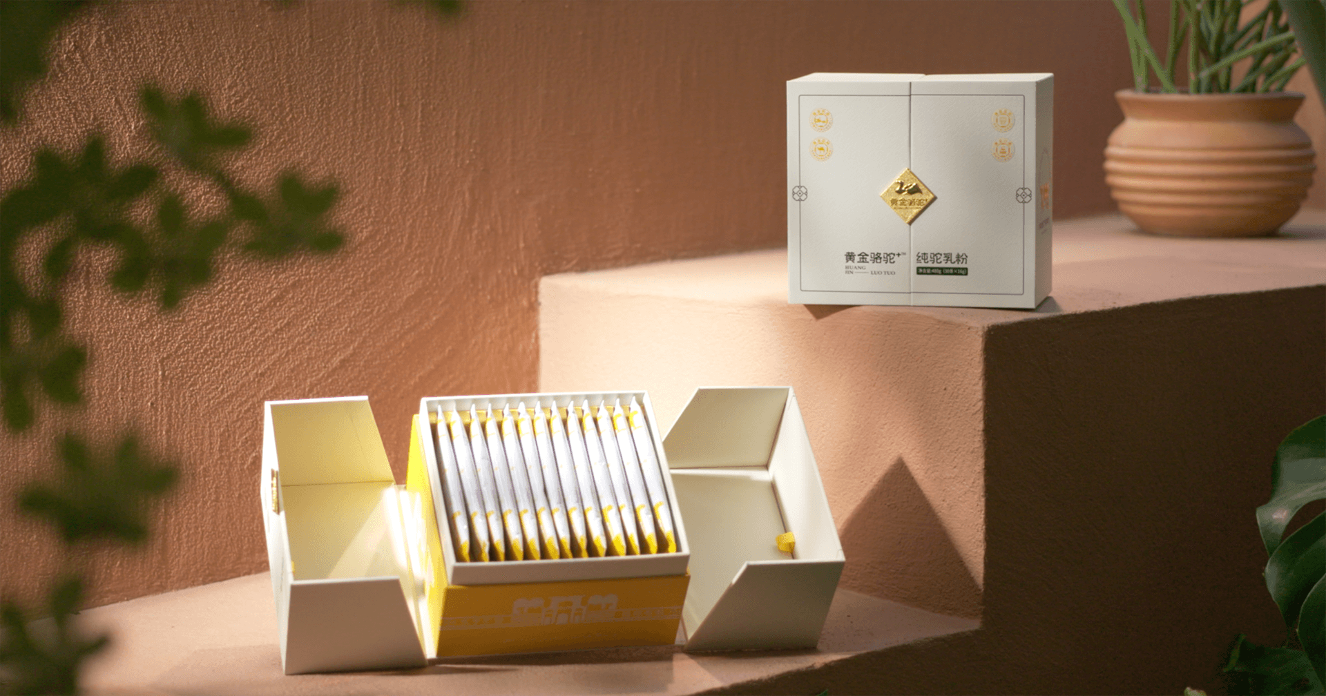 定位小众高端乳粉，jinnianhui今年会推出驼奶品牌“黄金骆驼+”，角逐乳品新市场！